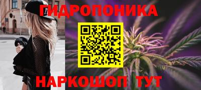 прущие грибы Татарск