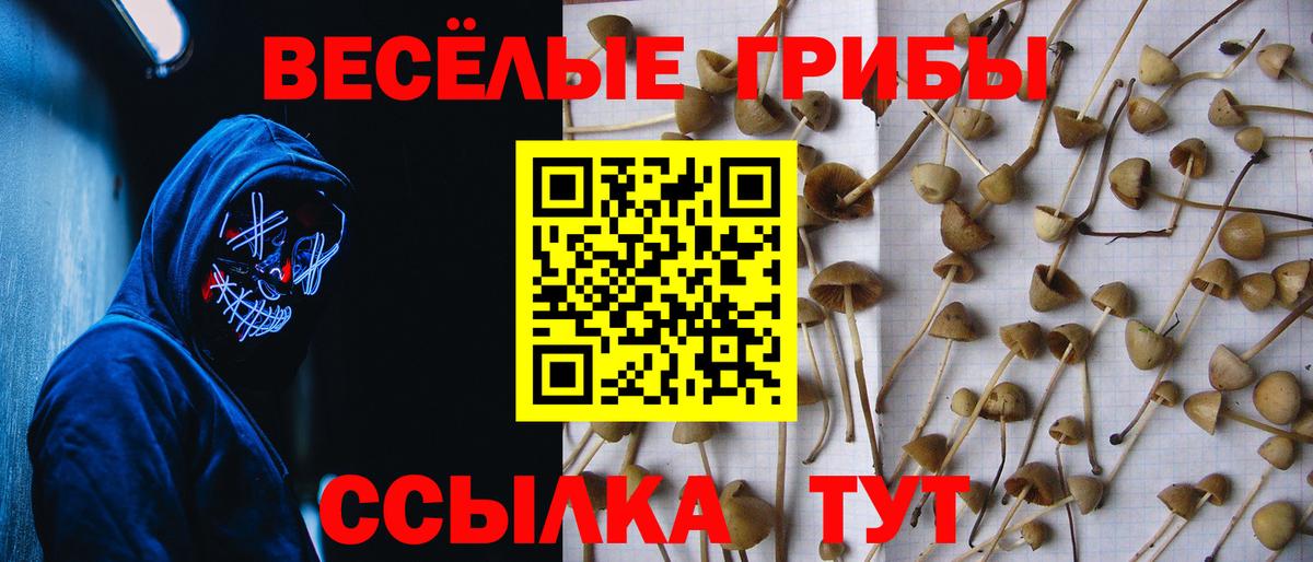 Галлюциногенные грибы GOLDEN TEACHER  Вход с VPN  Ноябрьск  Псилоцибиновые грибы мухоморы 