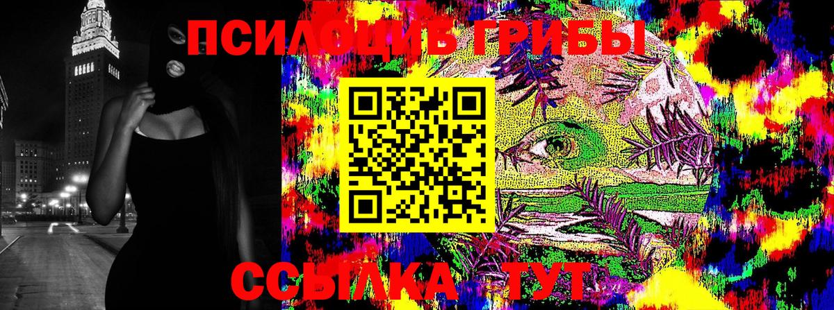 Галлюциногенные грибы Psilocybine cubensis Ноябрьск