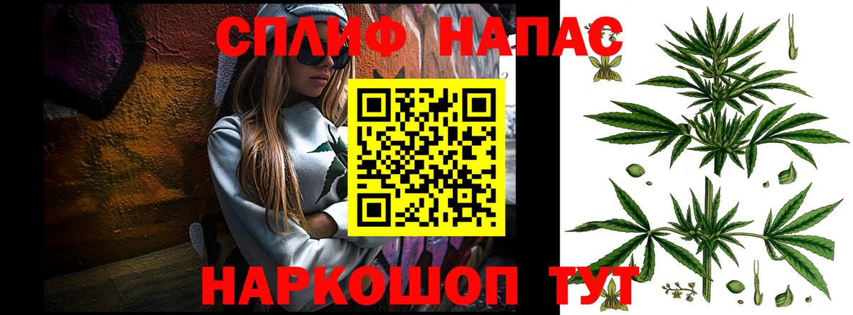 Канабис White Widow Ноябрьск